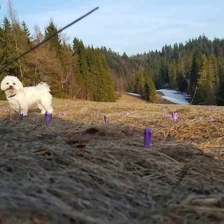 Bacowka W Sercu Gor - Dom Z Bali W Gorcach