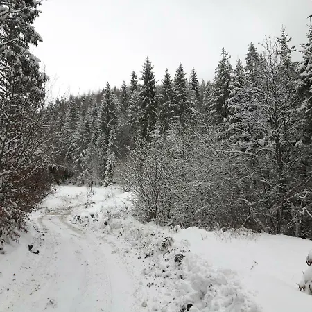 וילה Bacowka W Sercu Gor - Dom Z Bali W Gorcach