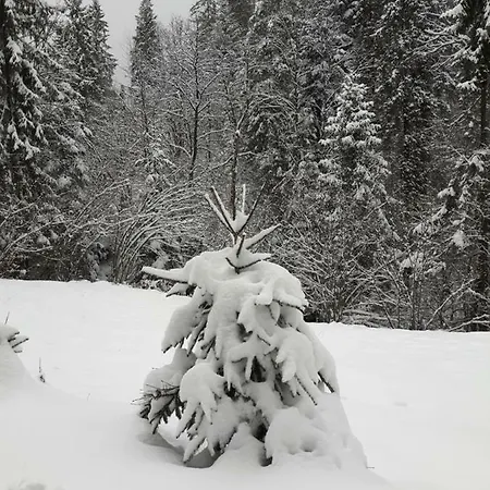 וילה Bacowka W Sercu Gor - Dom Z Bali W Gorcach