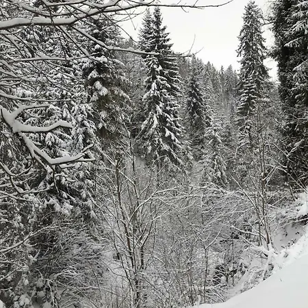 Bacowka W Sercu Gor - Dom Z Bali W Gorcach וילה *