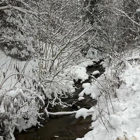 וילה Bacowka W Sercu Gor - Dom Z Bali W Gorcach *