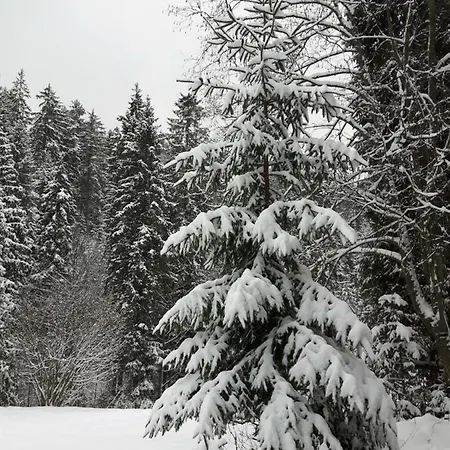 וילה Bacowka W Sercu Gor - Dom Z Bali W Gorcach *