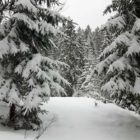 Bacowka W Sercu Gor - Dom Z Bali W Gorcach *