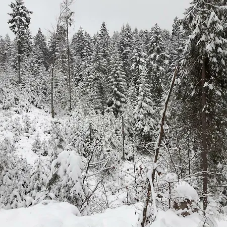 וילה Bacowka W Sercu Gor - Dom Z Bali W Gorcach וופוז'נה