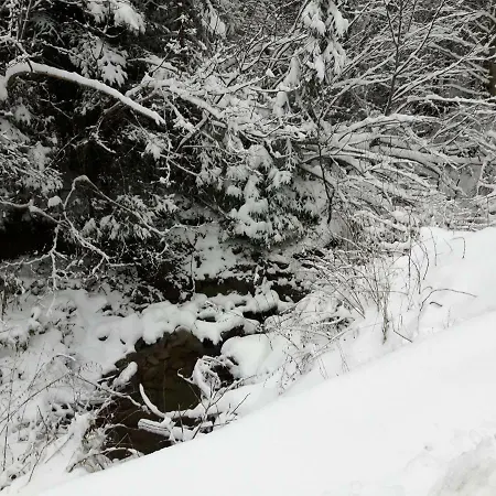 וילה Bacowka W Sercu Gor - Dom Z Bali W Gorcach *