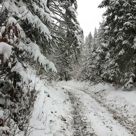 Bacowka W Sercu Gor - Dom Z Bali W Gorcach וילה וופוז'נה