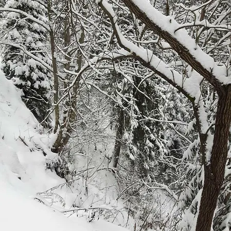 Bacowka W Sercu Gor - Dom Z Bali W Gorcach וופוז'נה