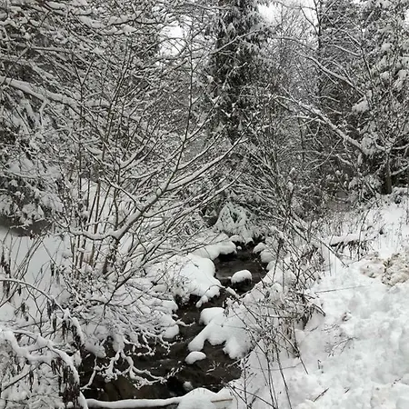 Bacowka W Sercu Gor - Dom Z Bali W Gorcach וילה *