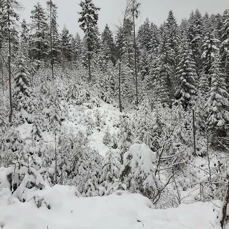 Bacowka W Sercu Gor - Dom Z Bali W Gorcach וילה וופוז'נה