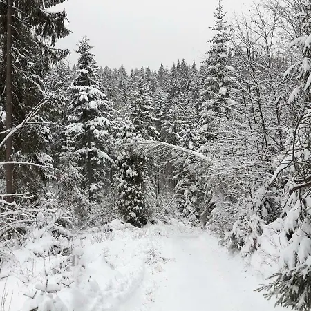Bacowka W Sercu Gor - Dom Z Bali W Gorcach וילה