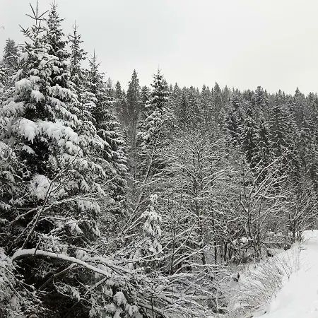 וילה Bacowka W Sercu Gor - Dom Z Bali W Gorcach וופוז'נה