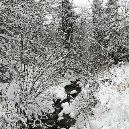 Bacowka W Sercu Gor - Dom Z Bali W Gorcach וילה וופוז'נה