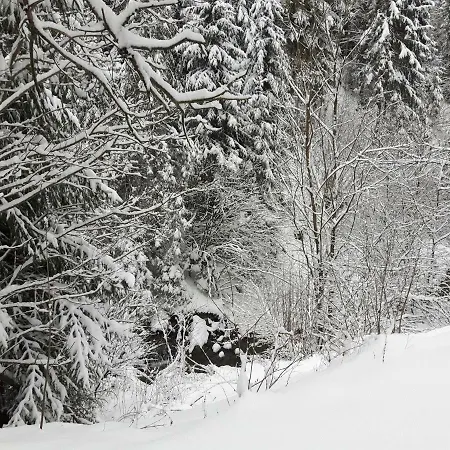 Bacowka W Sercu Gor - Dom Z Bali W Gorcach *