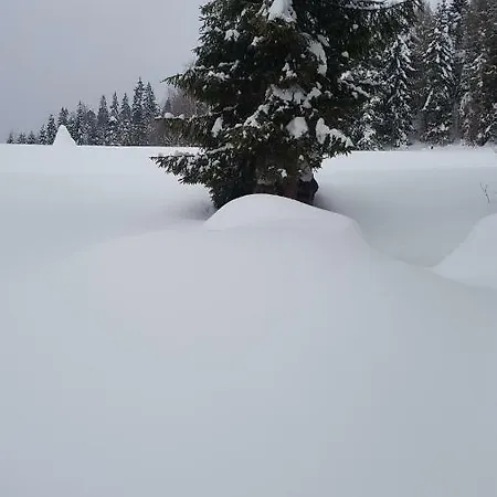 Bacowka W Sercu Gor - Dom Z Bali W Gorcach