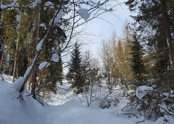 Bacowka W Sercu Gor - Dom Z Bali W Gorcach * Łopuszna