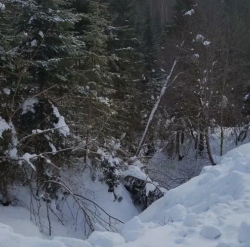 Bacowka W Sercu Gor - Dom Z Bali W Gorcach Villa Łopuszna