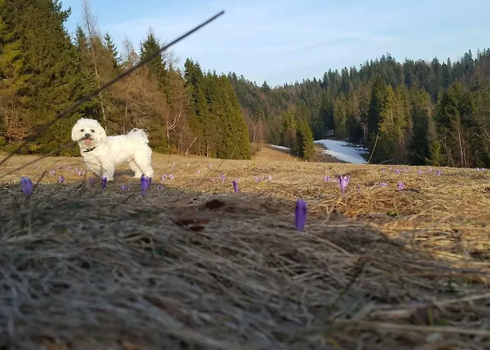 Bacowka W Sercu Gor - Dom Z Bali W Gorcach