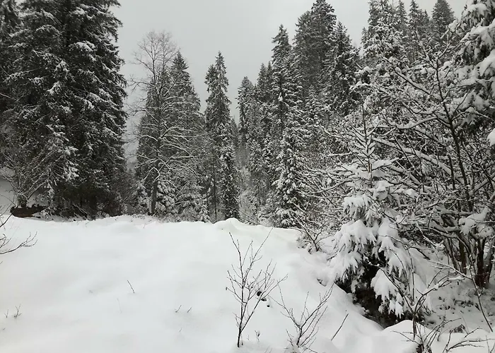 Villa Bacowka W Sercu Gor - Dom Z Bali W Gorcach Łopuszna