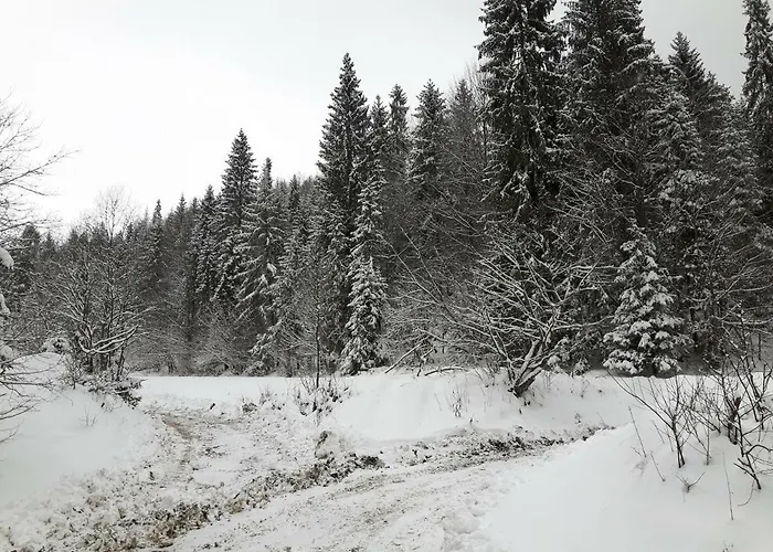 Villa Bacowka W Sercu Gor - Dom Z Bali W Gorcach *