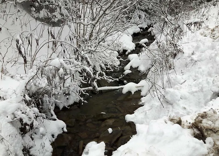 Bacowka W Sercu Gor - Dom Z Bali W Gorcach