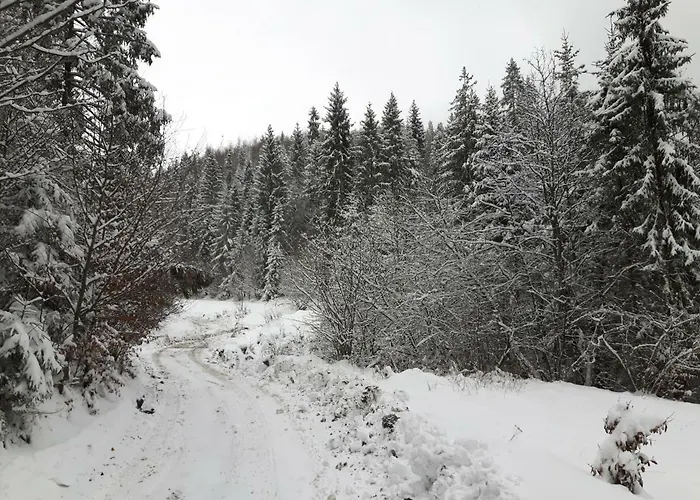 Villa Bacowka W Sercu Gor - Dom Z Bali W Gorcach