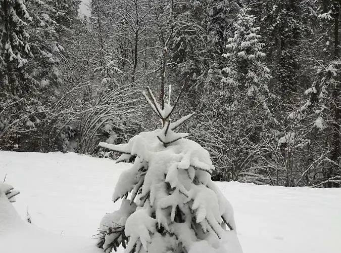 Villa Bacowka W Sercu Gor - Dom Z Bali W Gorcach