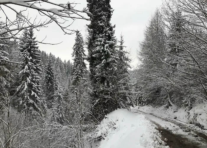 Bacowka W Sercu Gor - Dom Z Bali W Gorcach