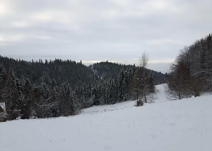 Bacowka W Sercu Gor - Dom Z Bali W Gorcach