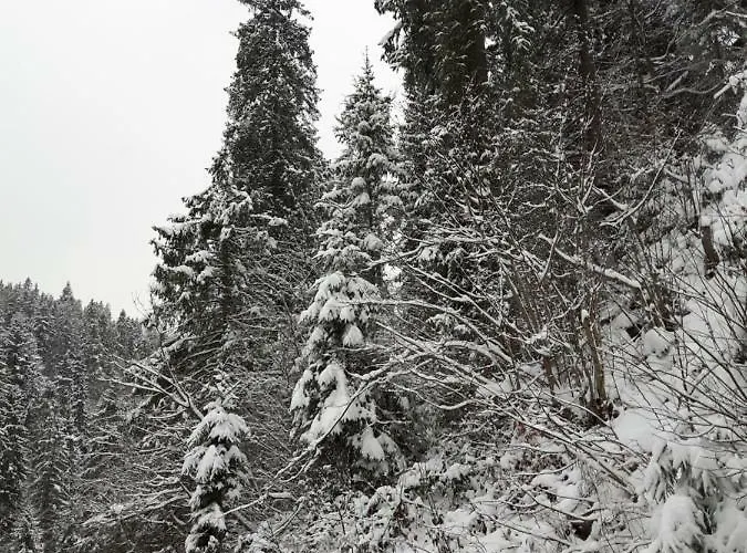 Bacowka W Sercu Gor - Dom Z Bali W Gorcach Villa Łopuszna