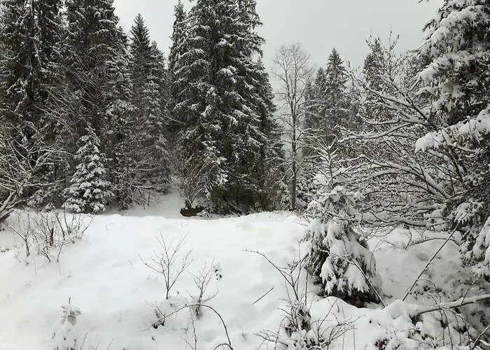 Bacowka W Sercu Gor - Dom Z Bali W Gorcach Villa