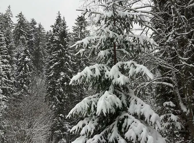 Villa Bacowka W Sercu Gor - Dom Z Bali W Gorcach *