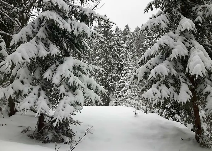 Bacowka W Sercu Gor - Dom Z Bali W Gorcach *