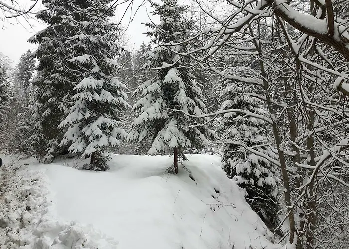 Bacowka W Sercu Gor - Dom Z Bali W Gorcach *