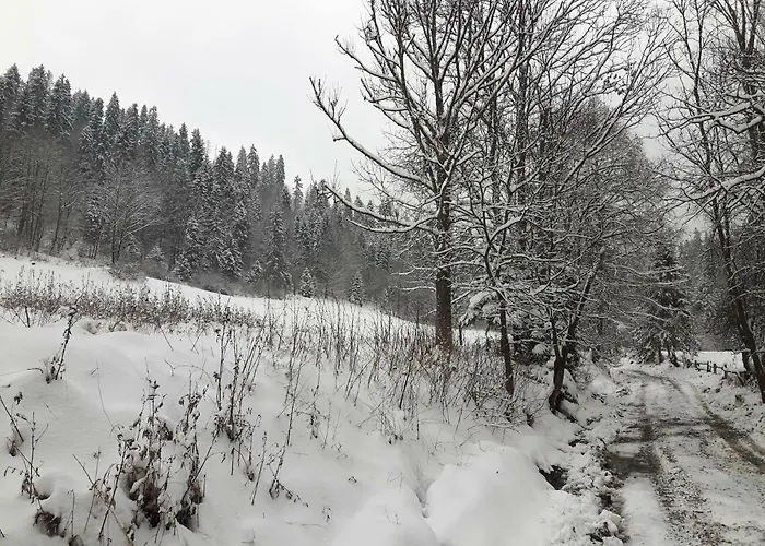 Villa Bacowka W Sercu Gor - Dom Z Bali W Gorcach Łopuszna