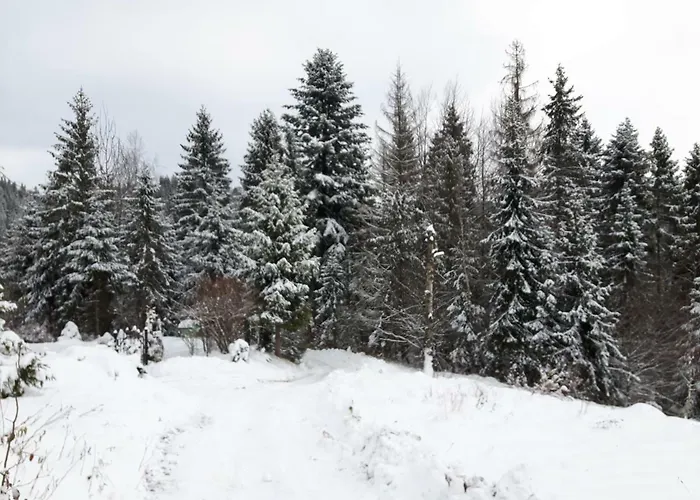 Bacowka W Sercu Gor - Dom Z Bali W Gorcach *