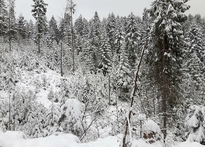 Villa Bacowka W Sercu Gor - Dom Z Bali W Gorcach Łopuszna