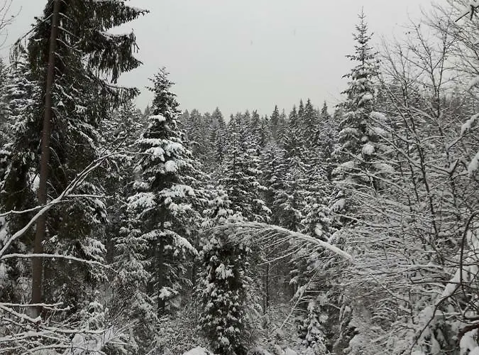 Villa Bacowka W Sercu Gor - Dom Z Bali W Gorcach Łopuszna