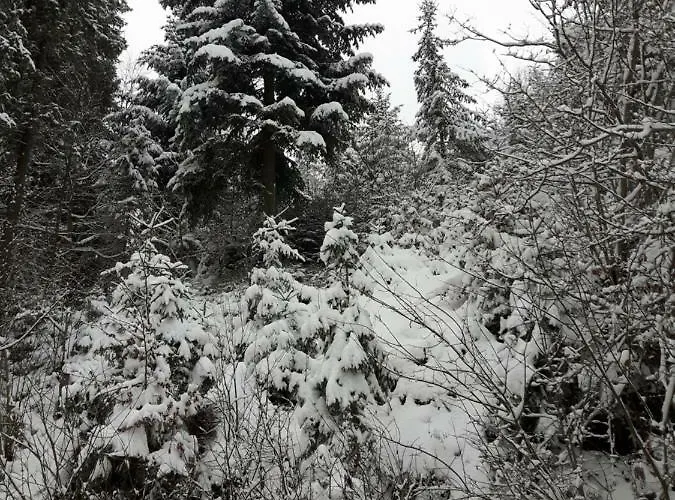 Villa Bacowka W Sercu Gor - Dom Z Bali W Gorcach Łopuszna