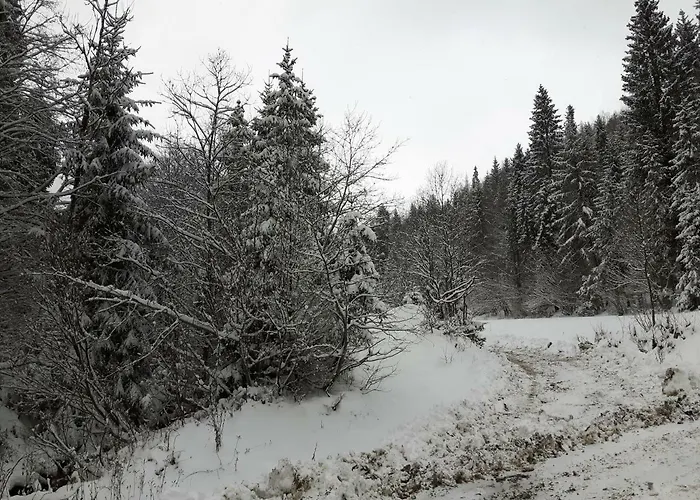 Bacowka W Sercu Gor - Dom Z Bali W Gorcach Łopuszna