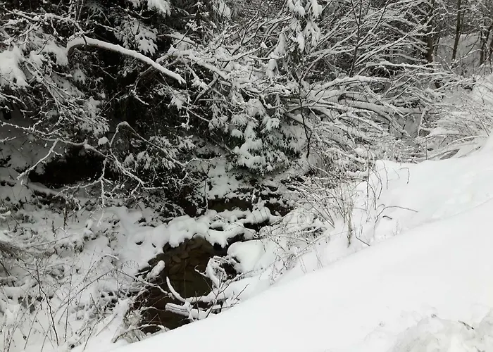 Villa Bacowka W Sercu Gor - Dom Z Bali W Gorcach *