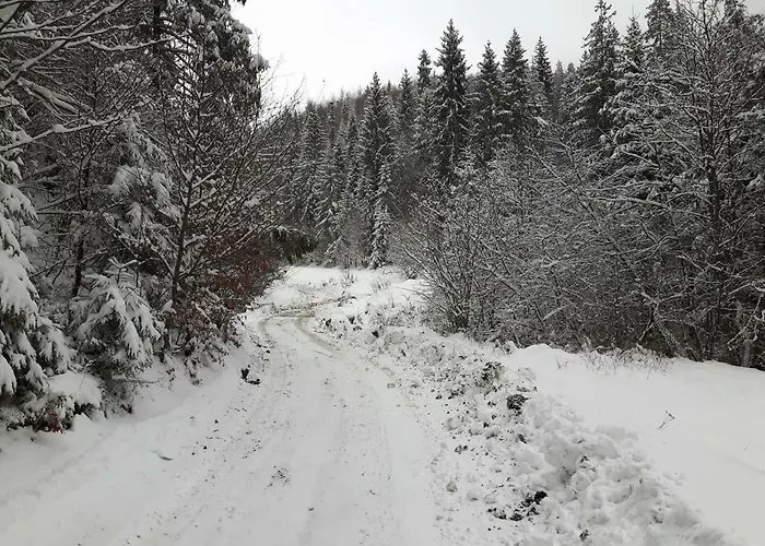 Bacowka W Sercu Gor - Dom Z Bali W Gorcach