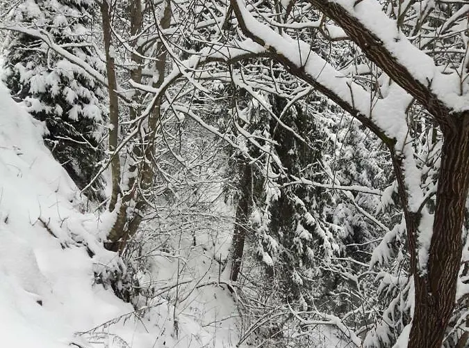 Bacowka W Sercu Gor - Dom Z Bali W Gorcach Łopuszna