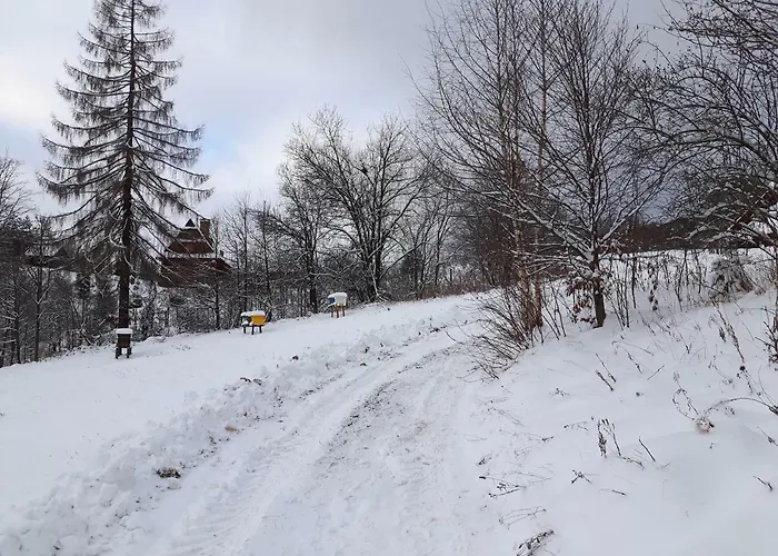 Villa Bacowka W Sercu Gor - Dom Z Bali W Gorcach *