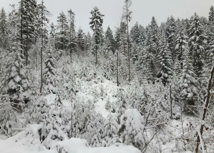 Villa Bacowka W Sercu Gor - Dom Z Bali W Gorcach *