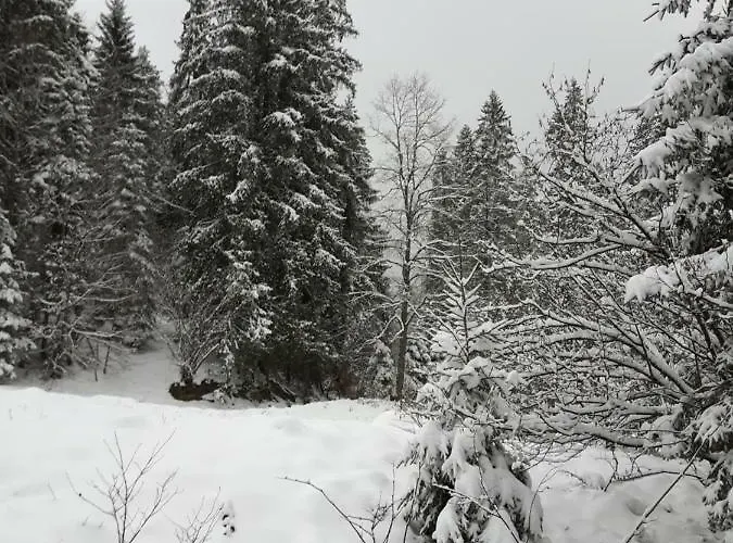 Bacowka W Sercu Gor - Dom Z Bali W Gorcach