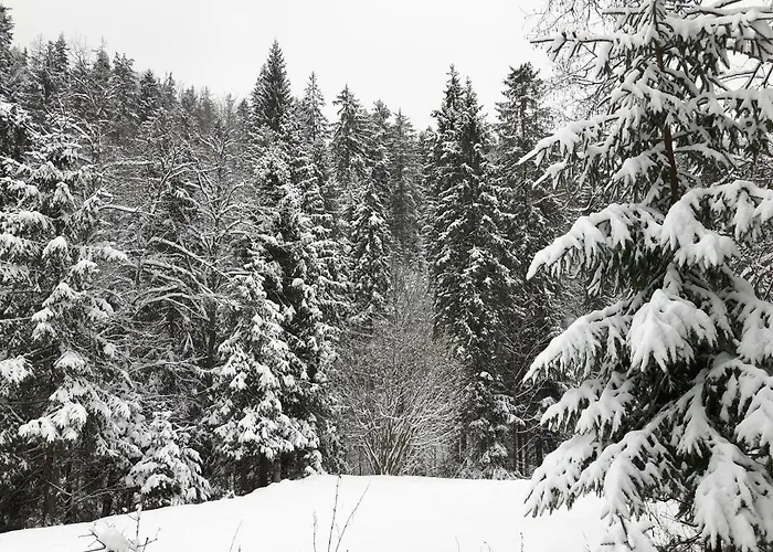 Villa Bacowka W Sercu Gor - Dom Z Bali W Gorcach