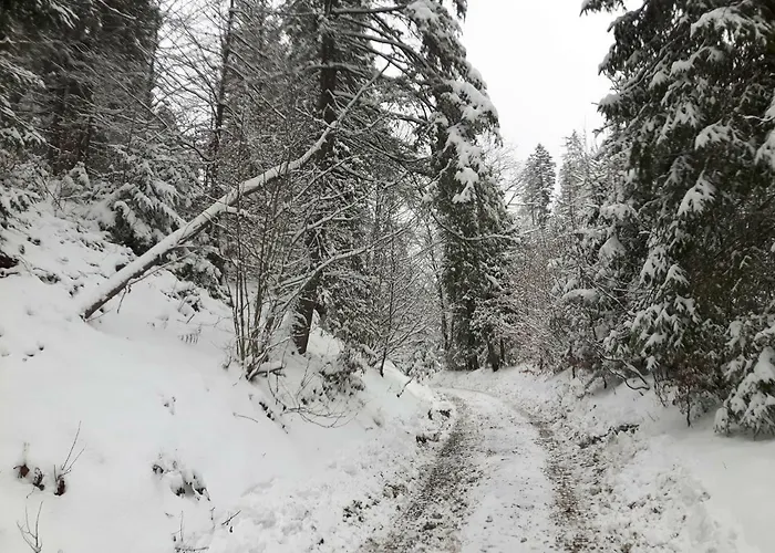 Villa Bacowka W Sercu Gor - Dom Z Bali W Gorcach