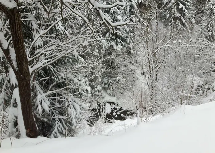 Bacowka W Sercu Gor - Dom Z Bali W Gorcach Łopuszna