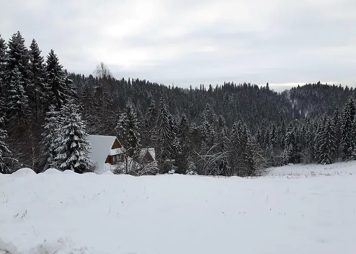 Bacowka W Sercu Gor - Dom Z Bali W Gorcach * Łopuszna