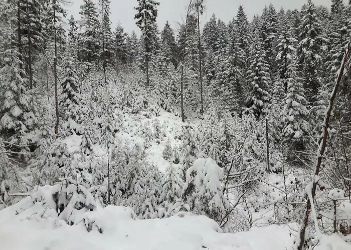 Bacowka W Sercu Gor - Dom Z Bali W Gorcach Villa Łopuszna